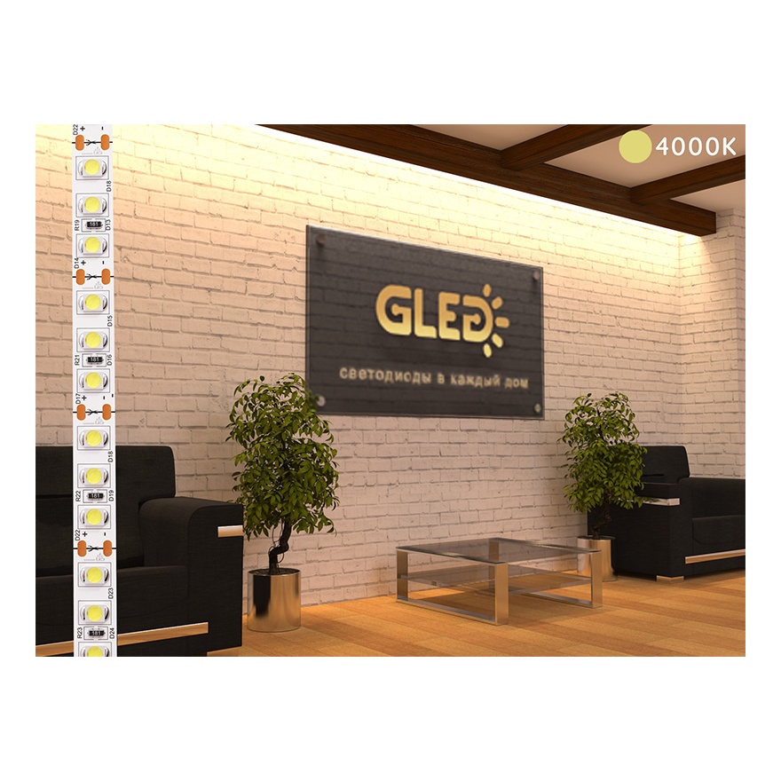 GLed Светодиодная лента GLed IP22 3528/120 LED (ELITE, 24, Дневной белый 4000 К) 4601011834033