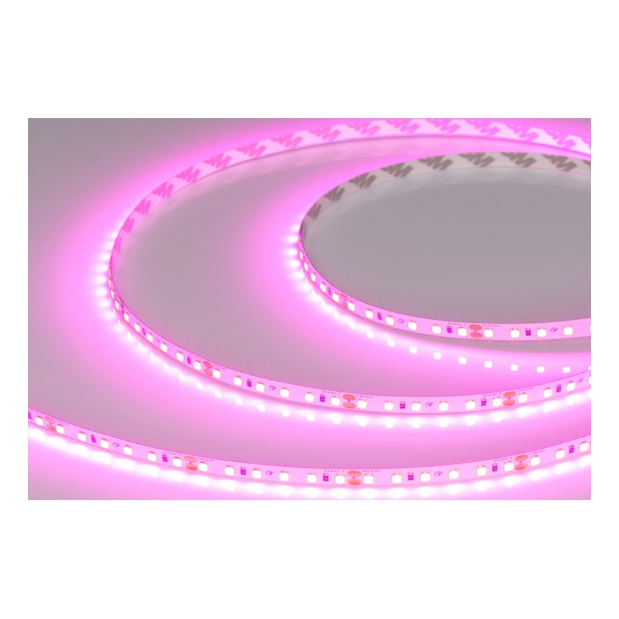ARLIGHT Светодиодная лента RT-A120-8mm (9.6 W/m, IP20, 2835, 5m) (LUX, 24, Теплый белый 3000 K) 2978020241087